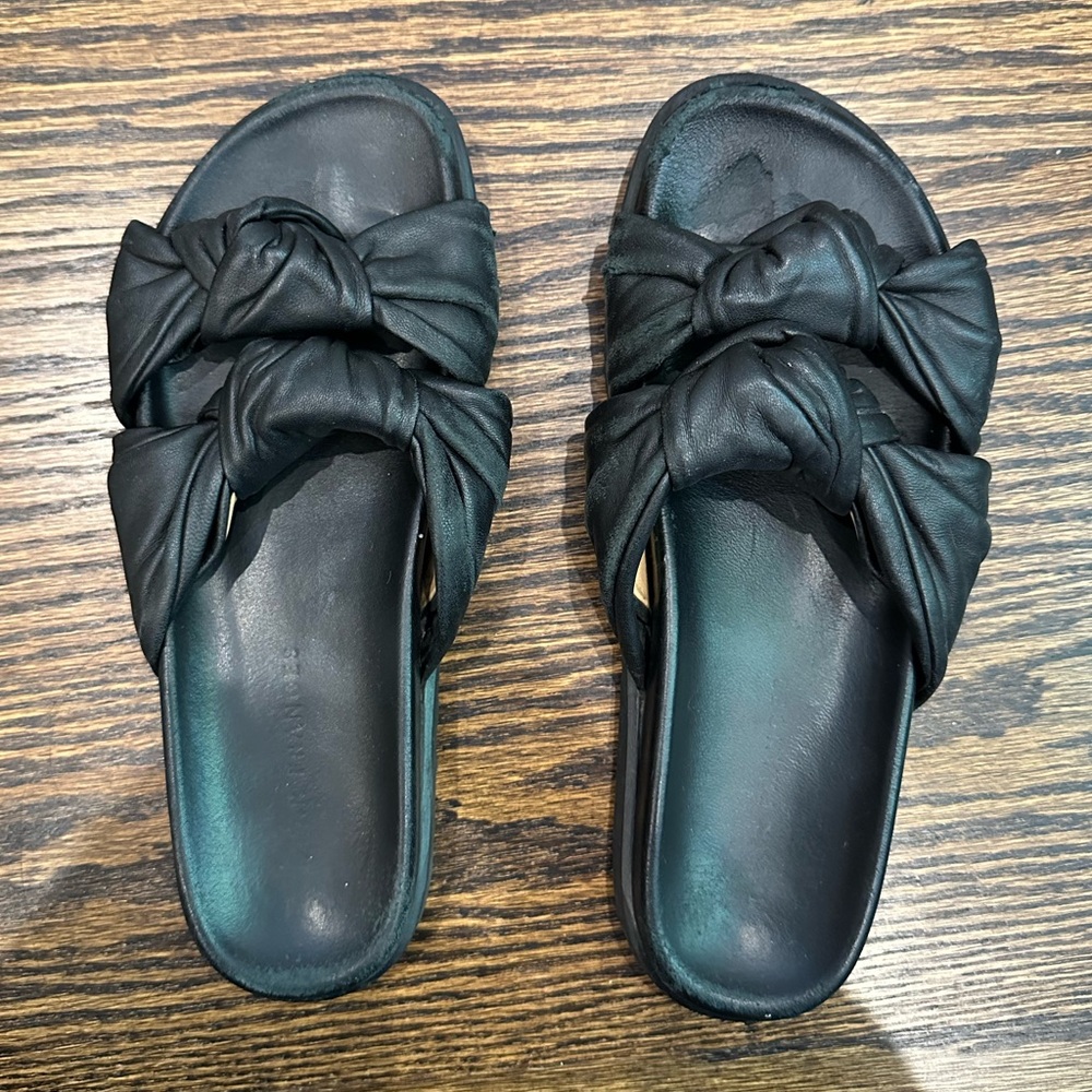 Dear Frances Tye Slide